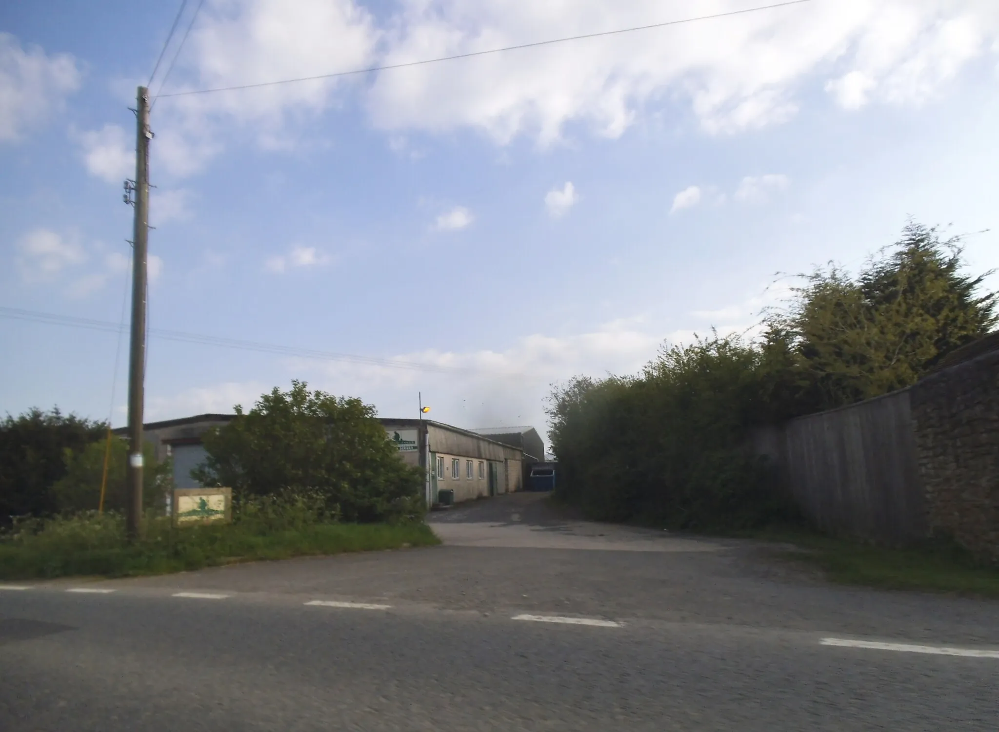 Photo showing: Ashridge Trees, Castle Cary