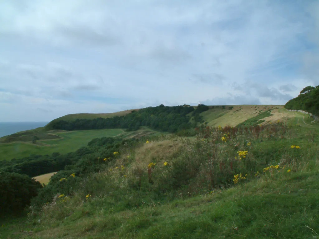 Photo showing: Swyre Head from the north-east.
Photograph by Stephen Dawson, 13 August 2005.