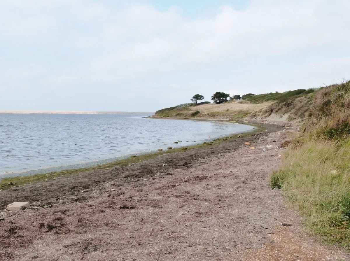 Photo showing: Beach at Lynch Cove, near Weymouth, Dorset