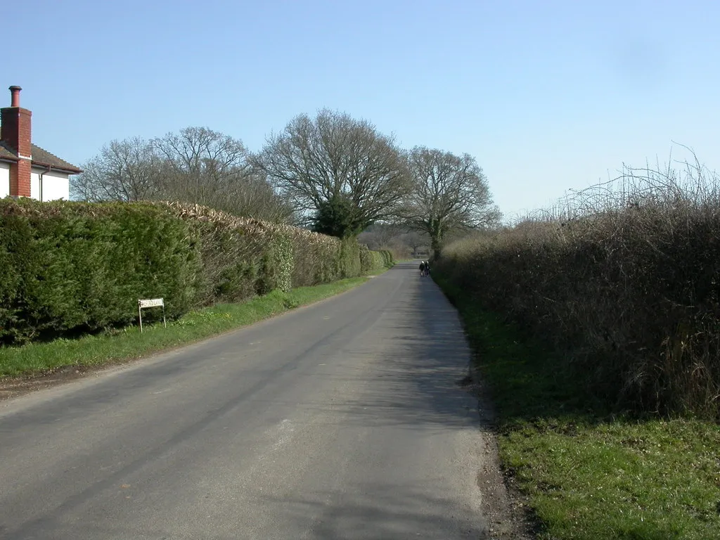 Photo showing: Broom Hill, Pilford Lane