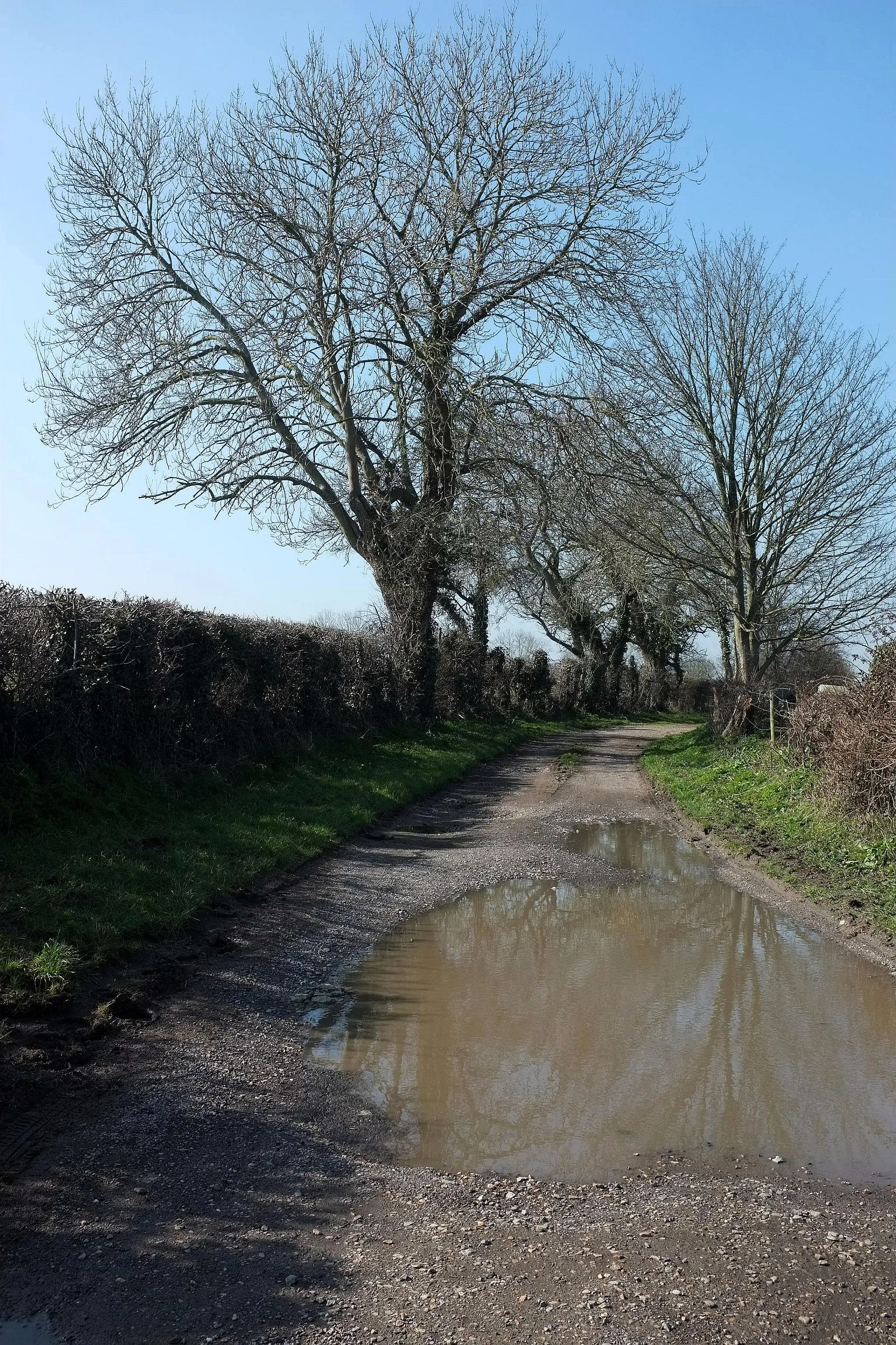 Photo showing: Keen Hayes Lane