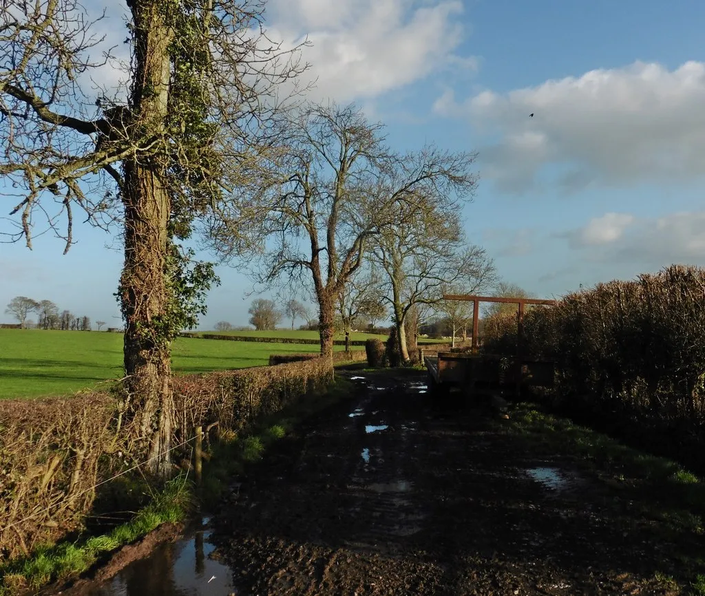 Photo showing: Continuation of Little Leaze Lane