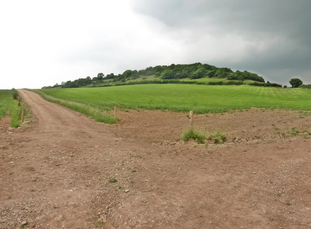 Photo showing: Farmland, below Lodge Hill