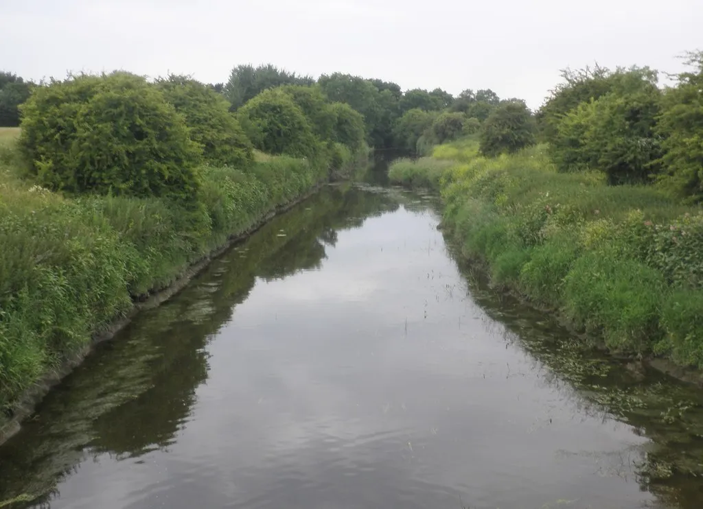 Photo showing: The River Brue