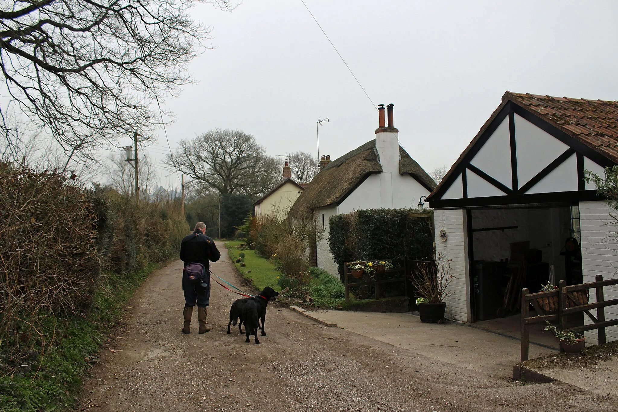 Photo showing: Birchill near Chardstock