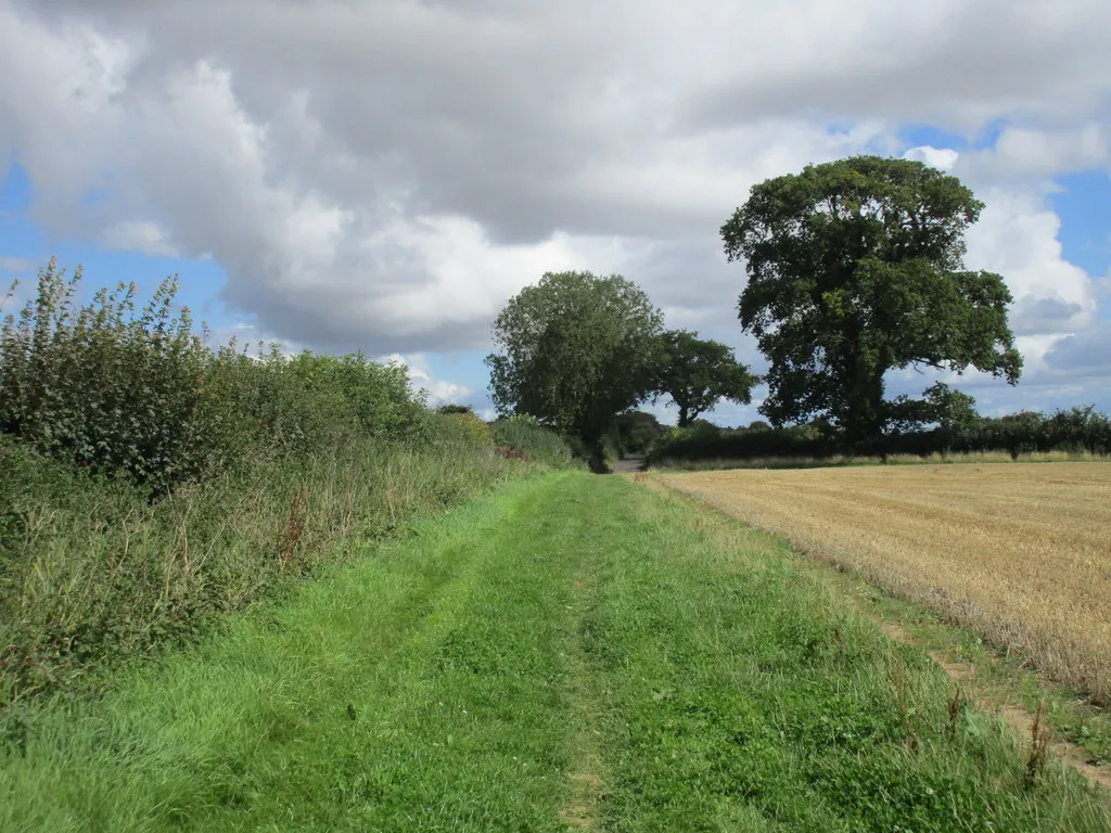 Photo showing: Bridleway approaching Muston Lane