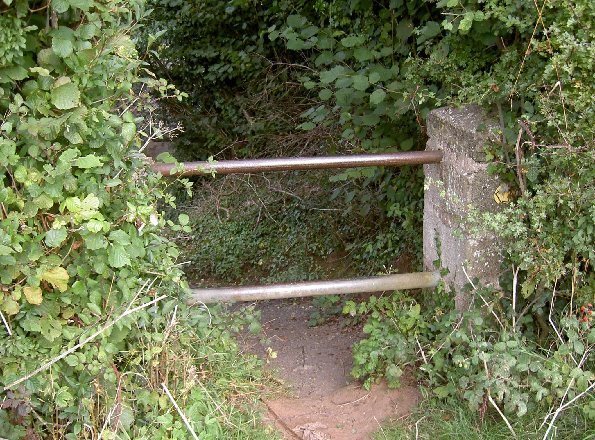 Photo showing: Bars on the footpath