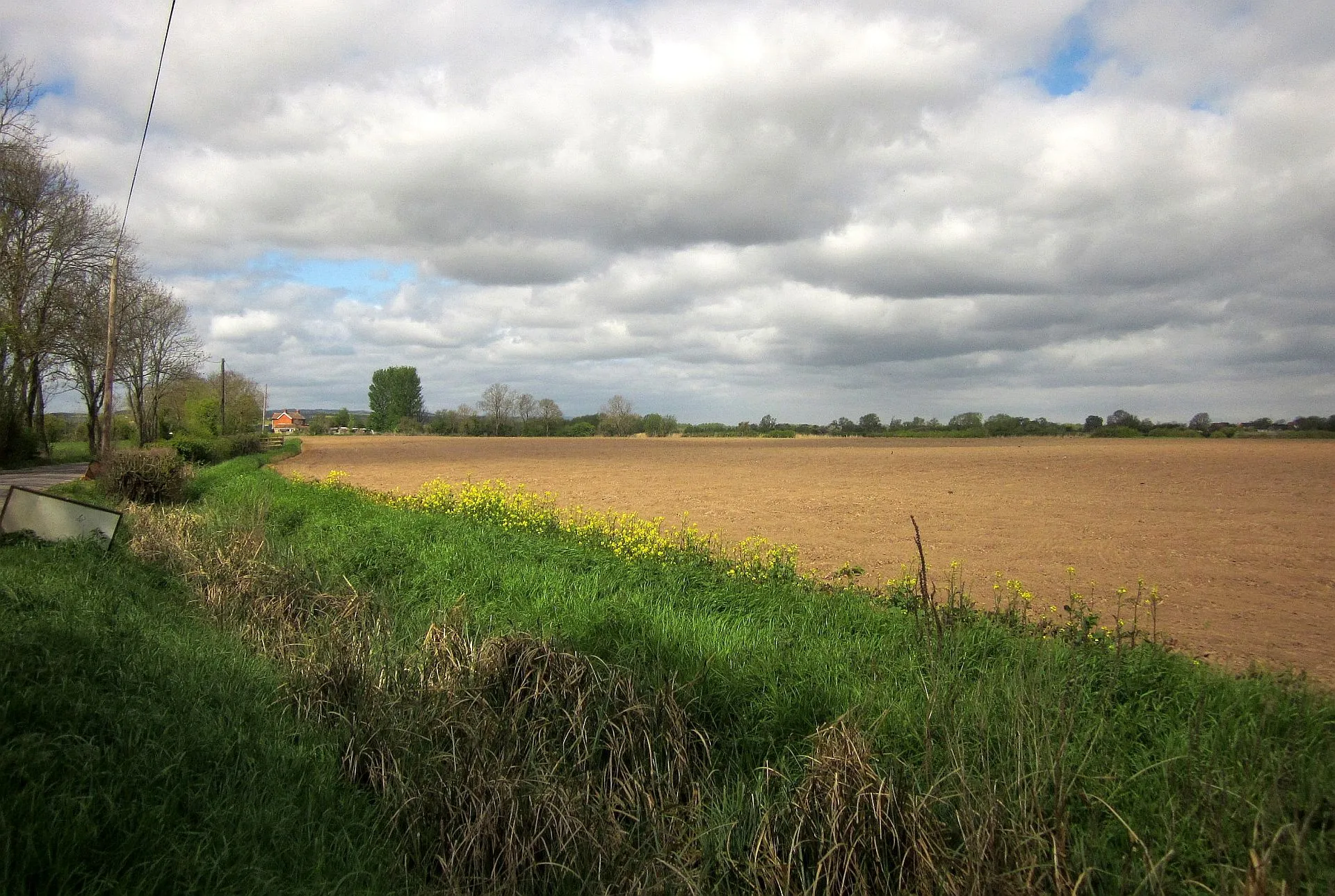 Photo showing: Arable land, Horlake Moor