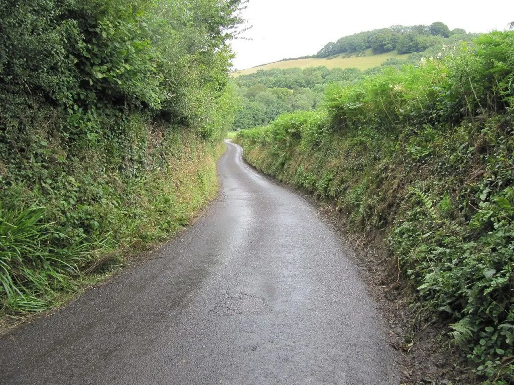 Photo showing: A country lane