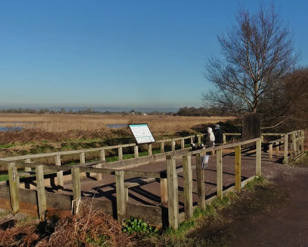 Photo showing: Viewing platform, Ham Wall RSPB Nature Reserve