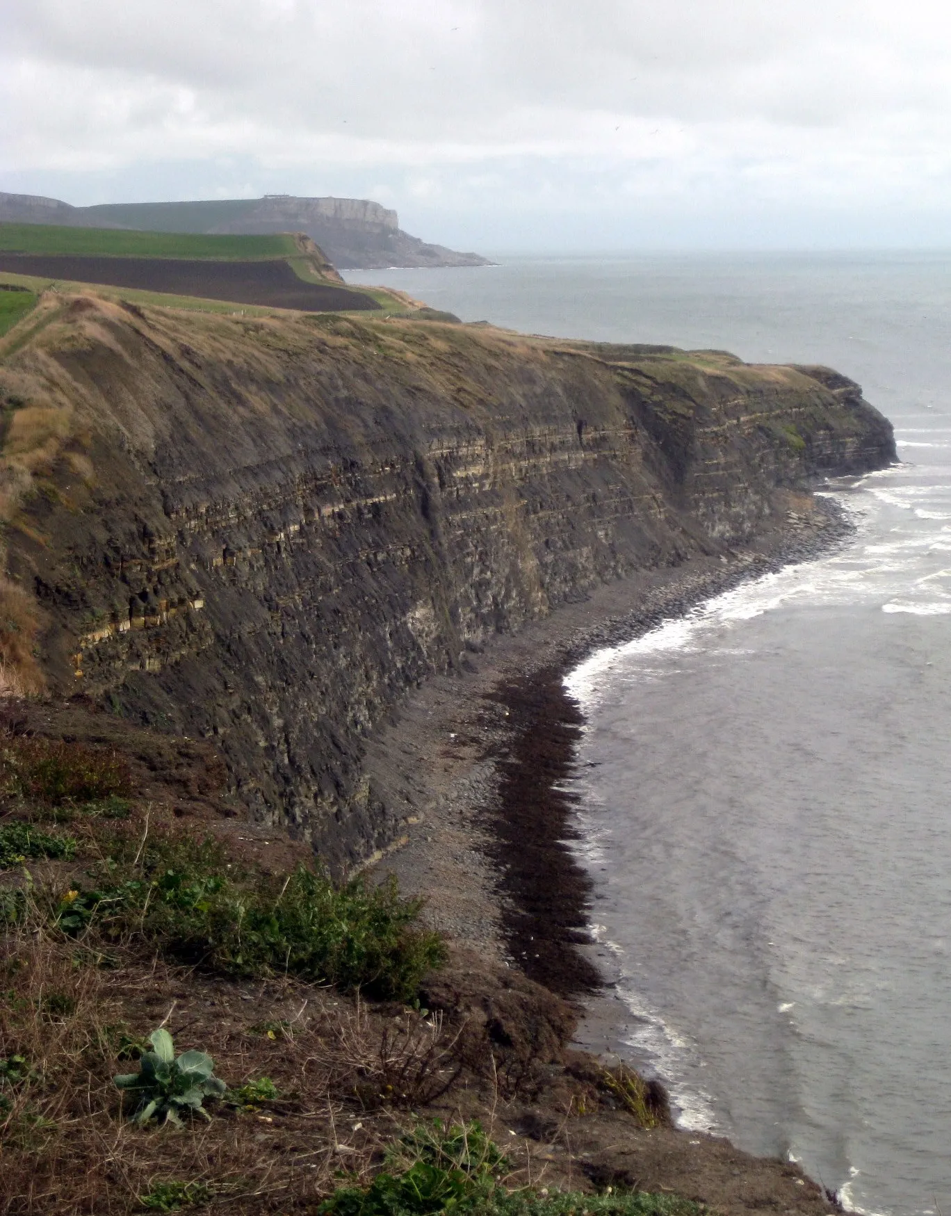 Photo showing: Hen Cliff, near Kimmeridge