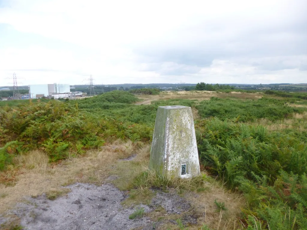 Photo showing: Blacknoll Hill, trig point