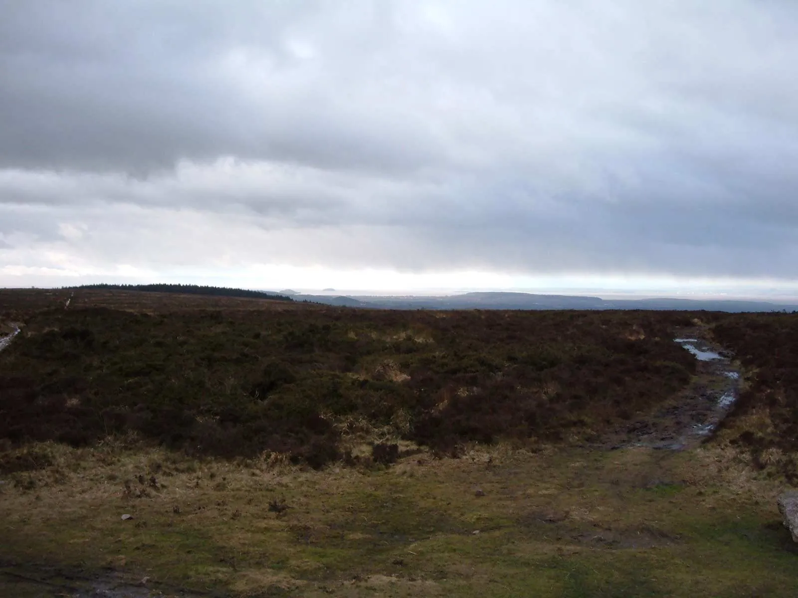 Photo showing: A photo across Black Down at Beacon Batch, highest point of the Mendip Hills, Somerset, England. Photo by Jsommer