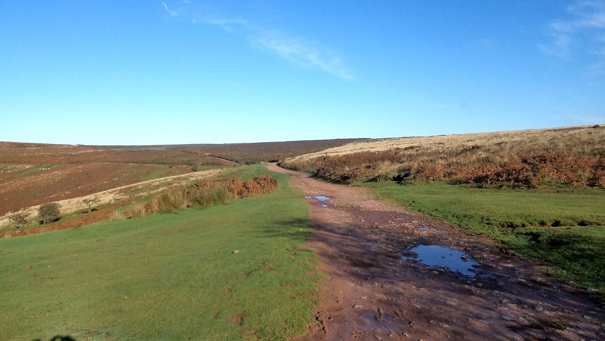 Photo showing: Quantock Ridgeway