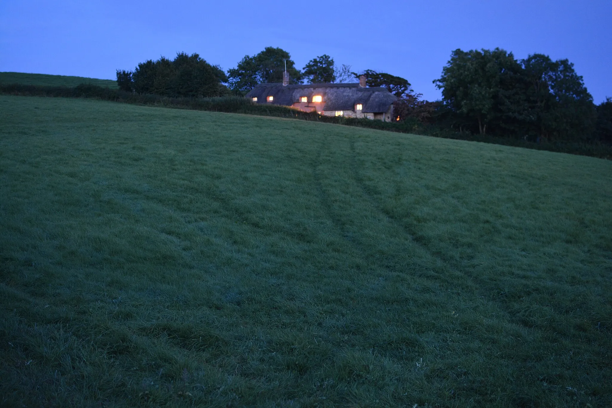 Photo showing: West Dorset : Grassy Field