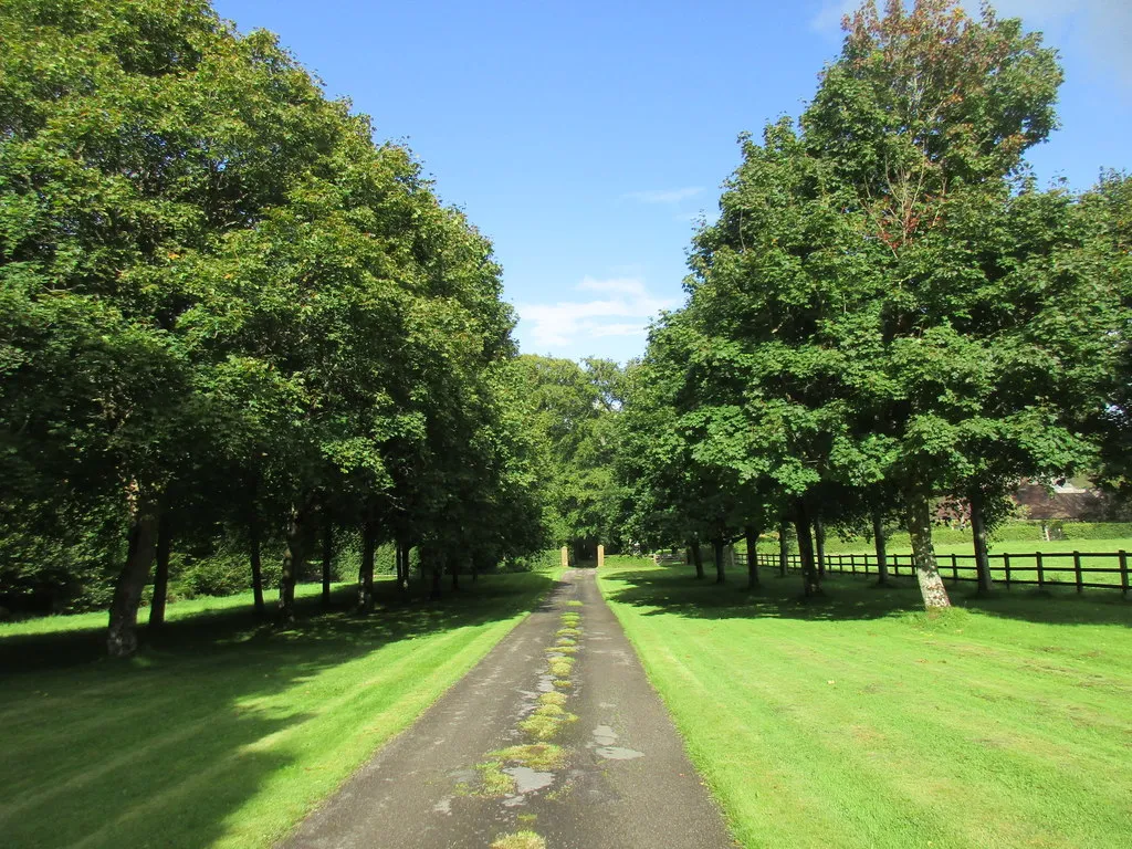 Photo showing: Avenue leading to Lewcombe Manor