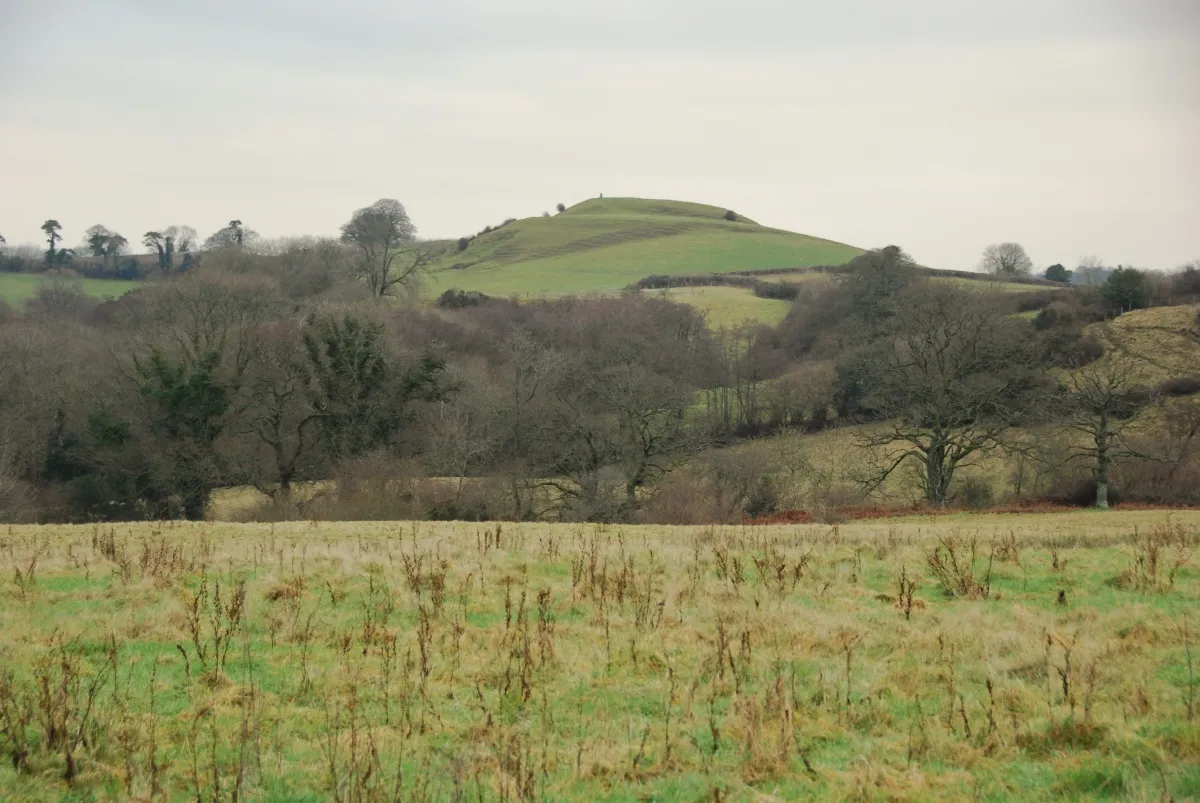 Photo showing: Castle Hill from the lane to West Chelborough