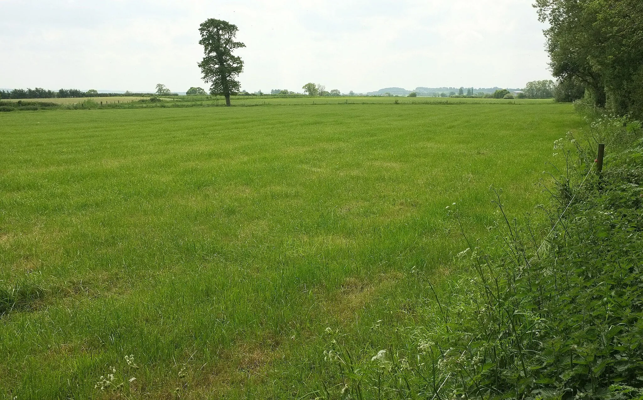 Photo showing: Farmland near Margaret Marsh