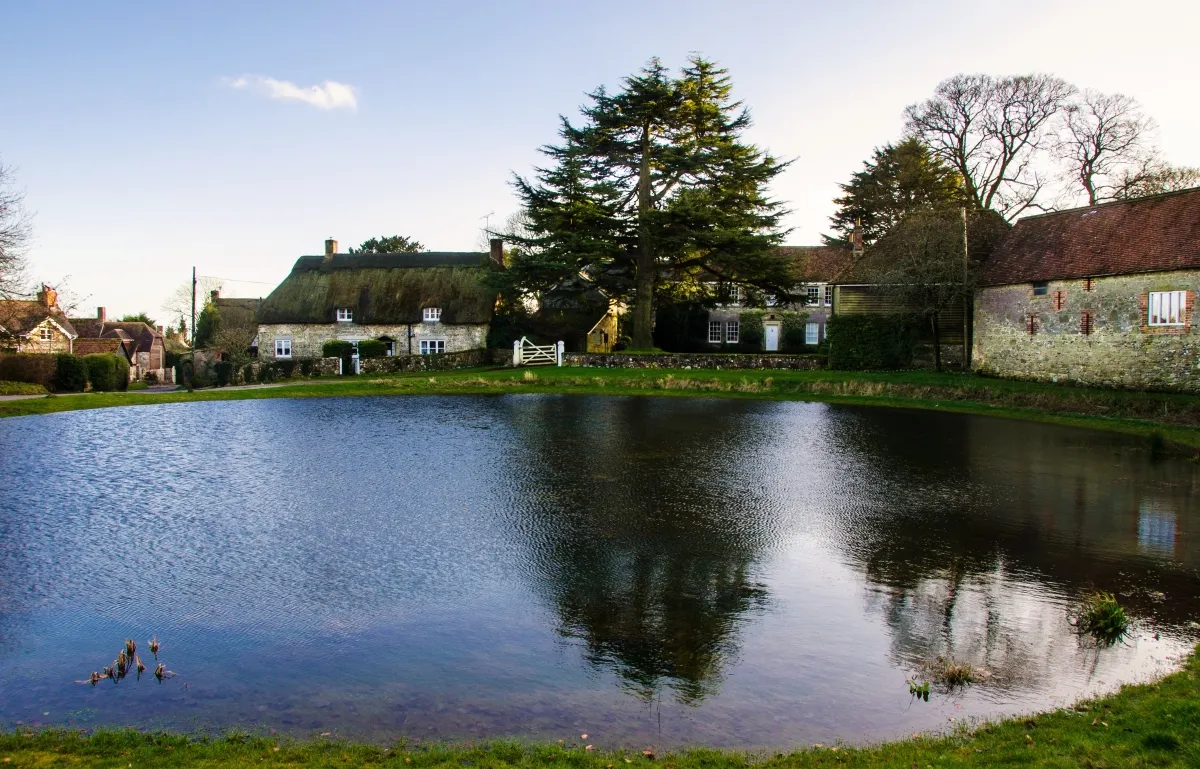 Photo showing: Ashmore Pond by the High Street