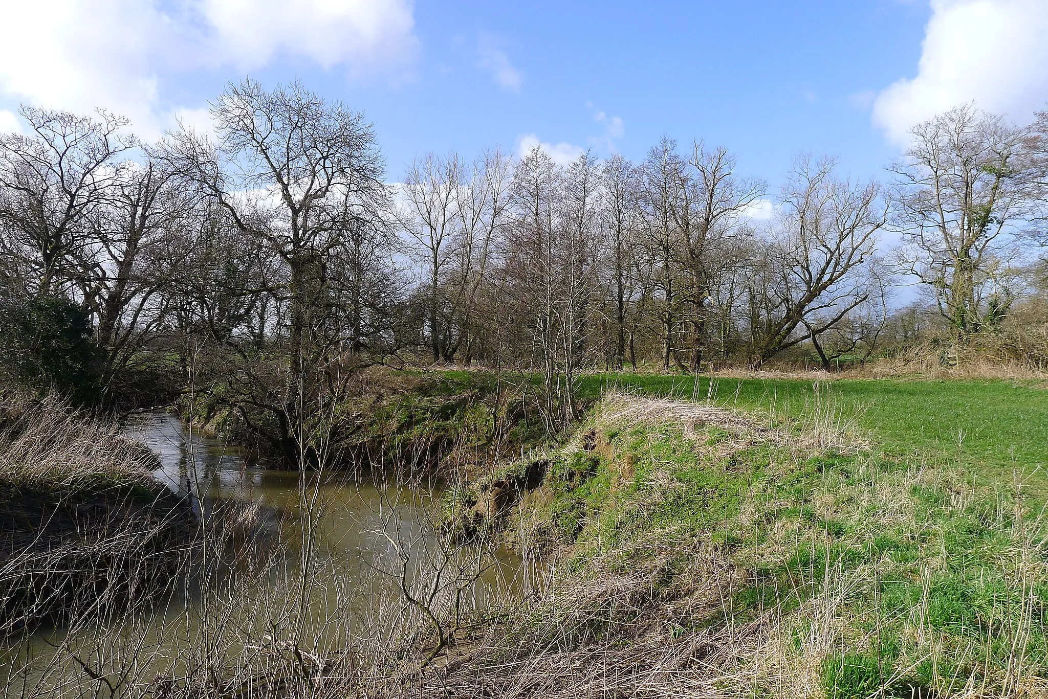 Photo showing: Bank of the River Brue