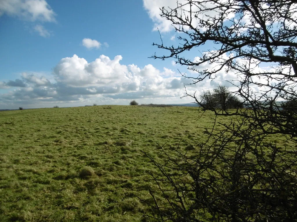 Photo showing: Hod Hill, site of Roman fort