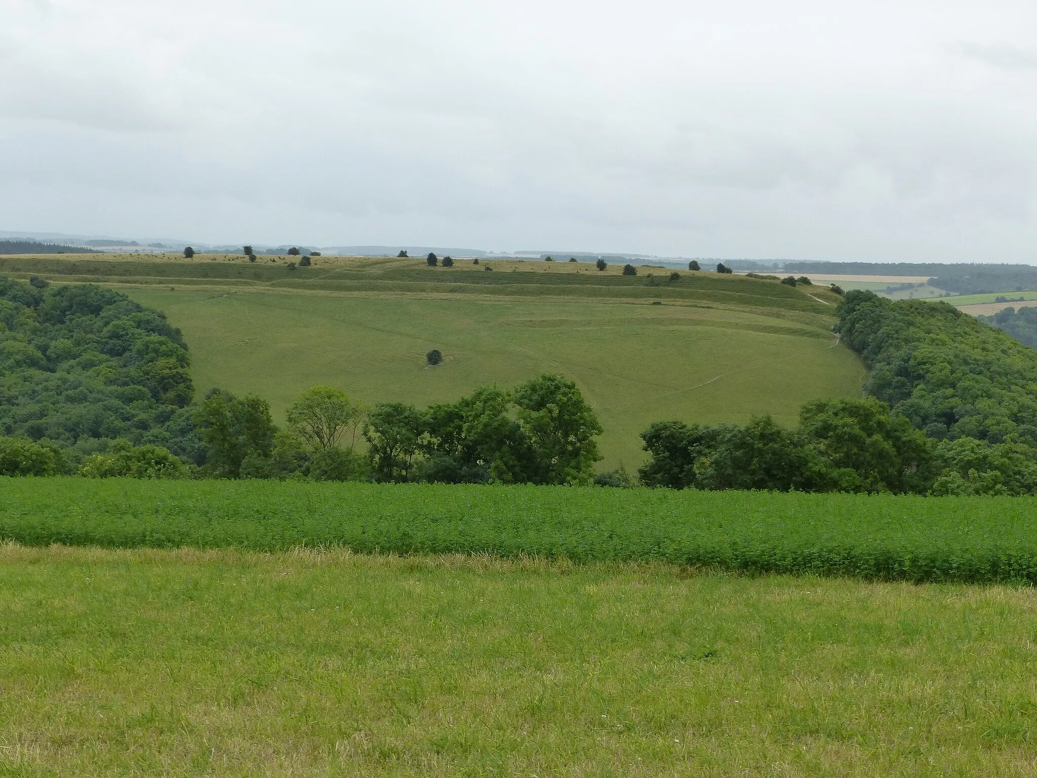 Photo showing: Hod Hill camp and Lydsbury Rings: hillfort and scheduled monument in Dorset. Wikidata has entry Hod Hill camp and Lydsbury Rings (Q17650616) with data related to this item.