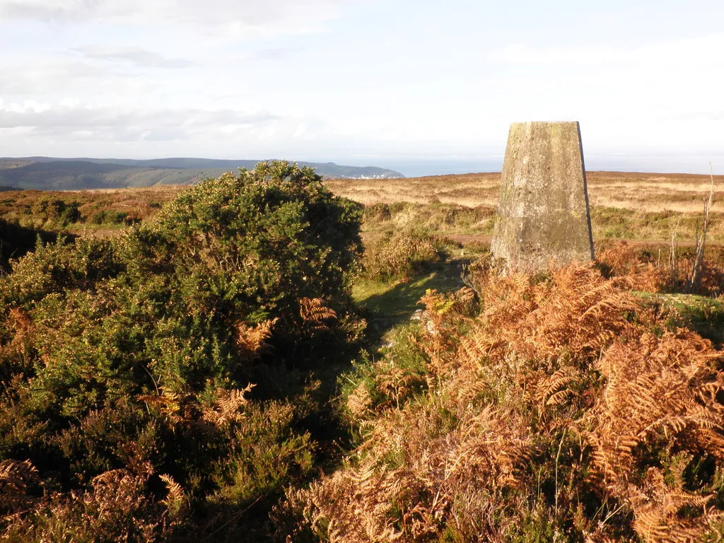 Photo showing: Trig Point, Withycombe Common