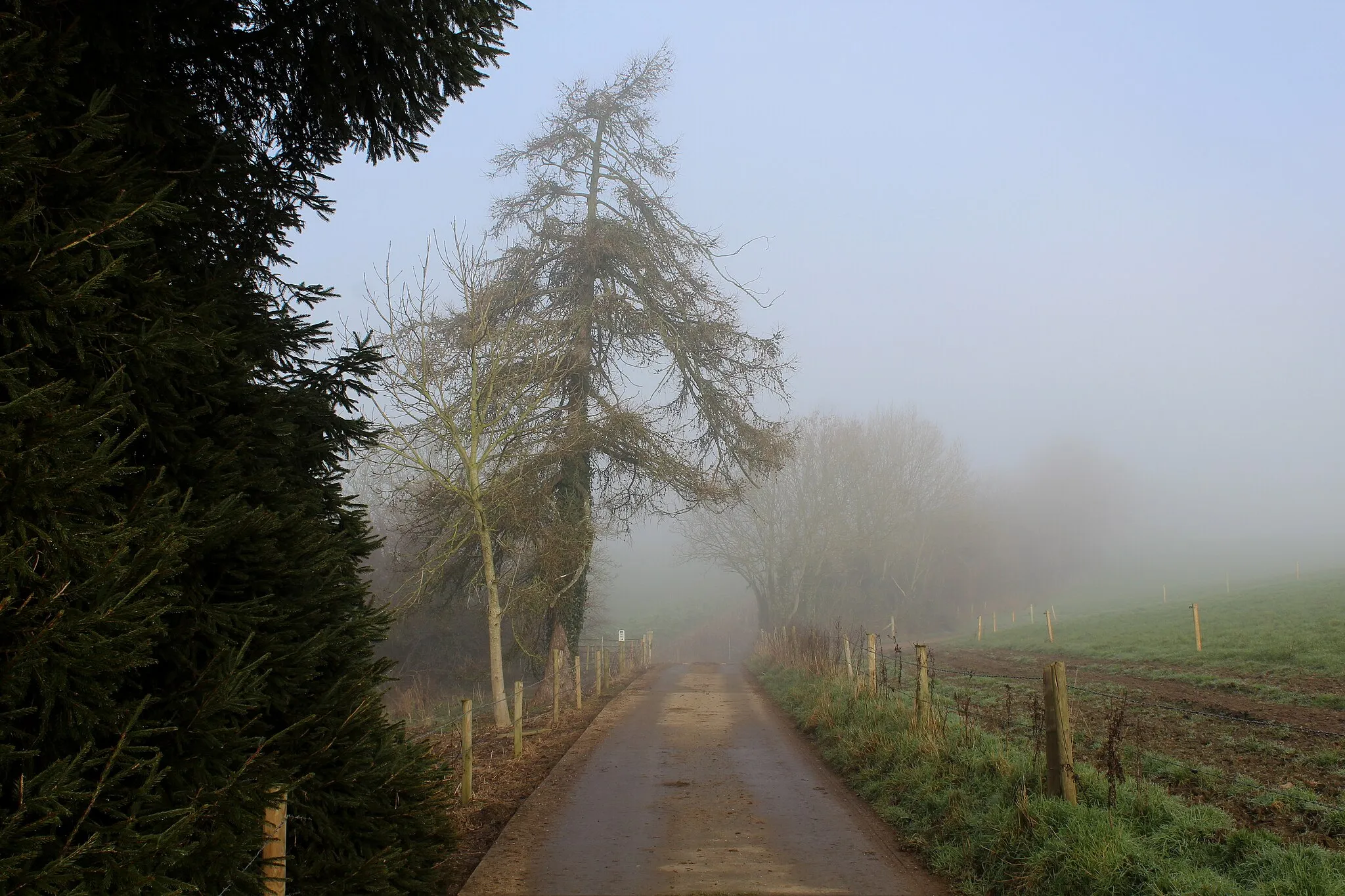 Photo showing: Access Lane leading away from Grighay Farm