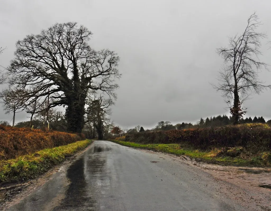 Photo showing: A wet day on Wheel House Lane