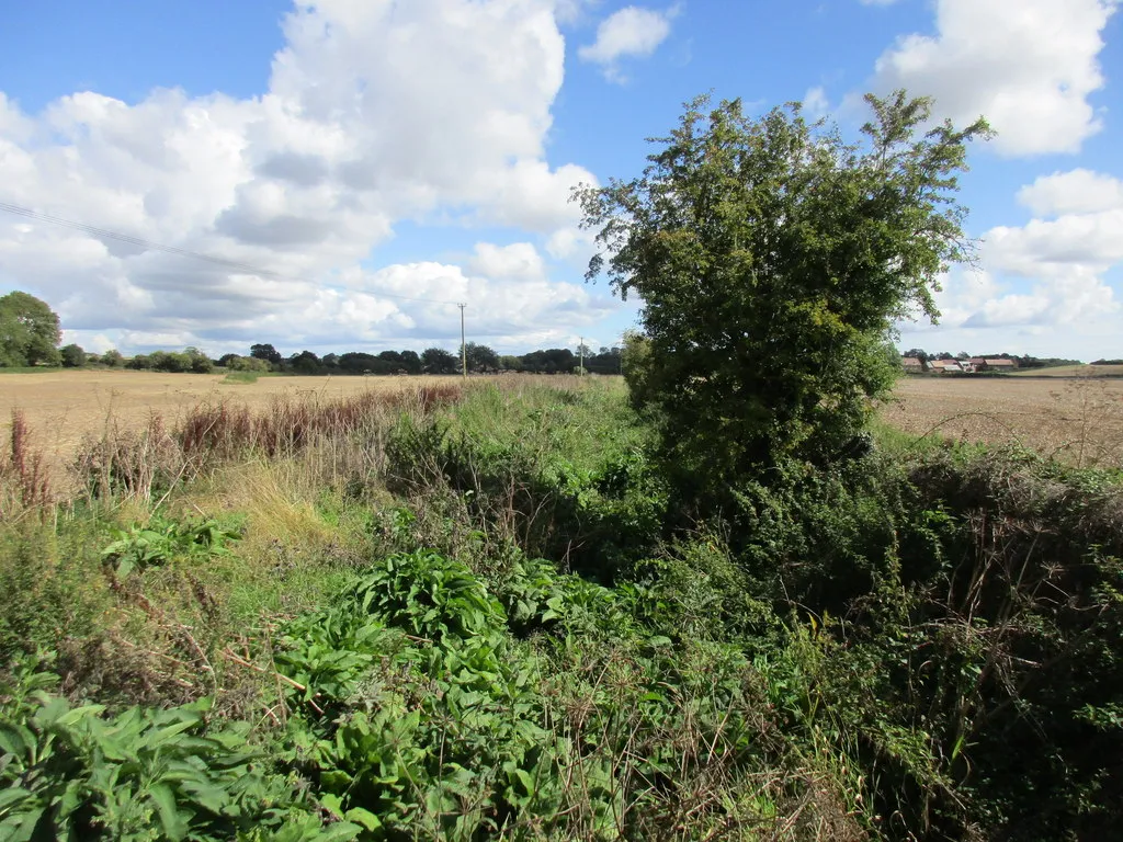 Photo showing: The River Winterborne