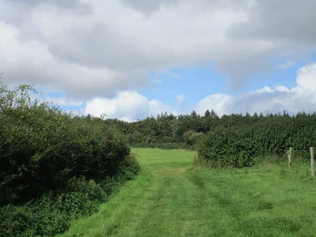 Photo showing: Bridleway near Bushes Farm