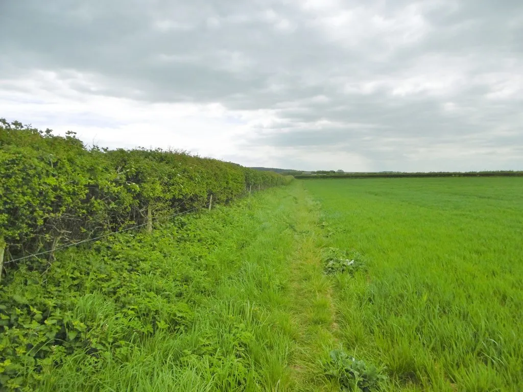 Photo showing: Anderson, bridleway