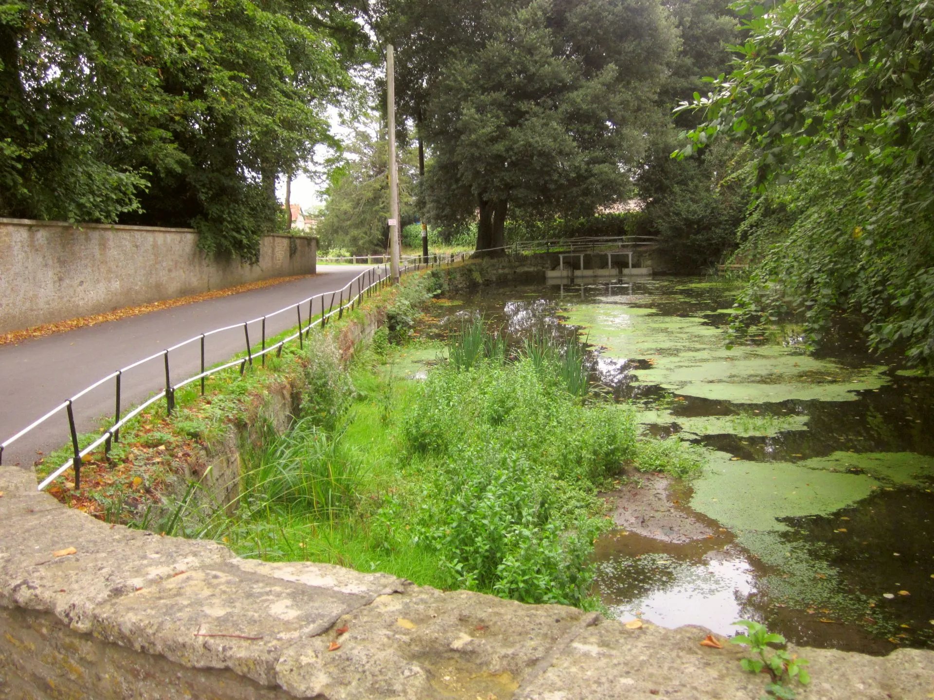 Photo showing: Pond, Horsington