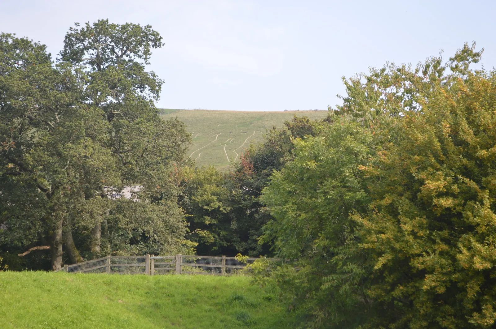 Photo showing: Cerne Abbas Giant