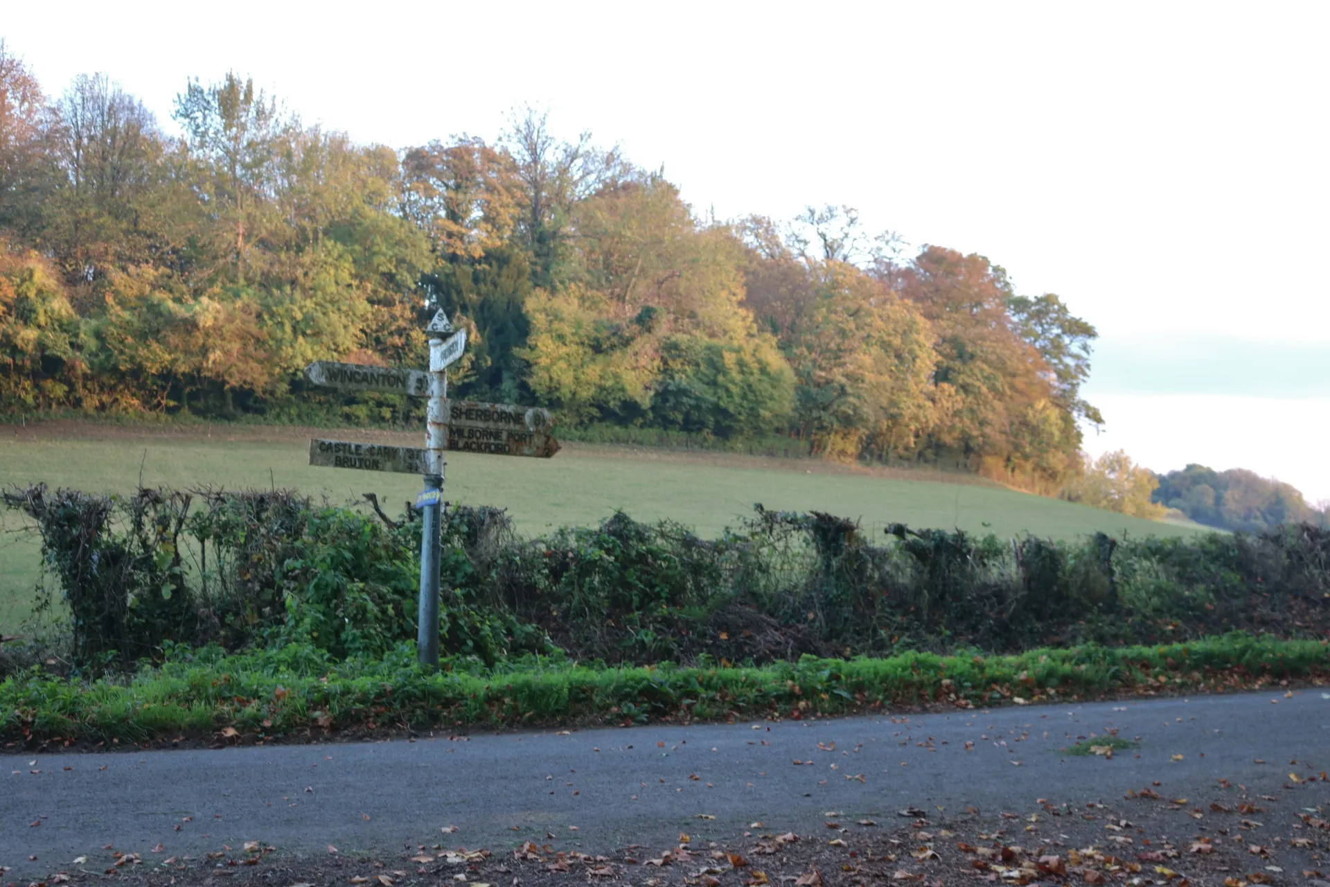 Photo showing: Cattle Hill, Yarlington