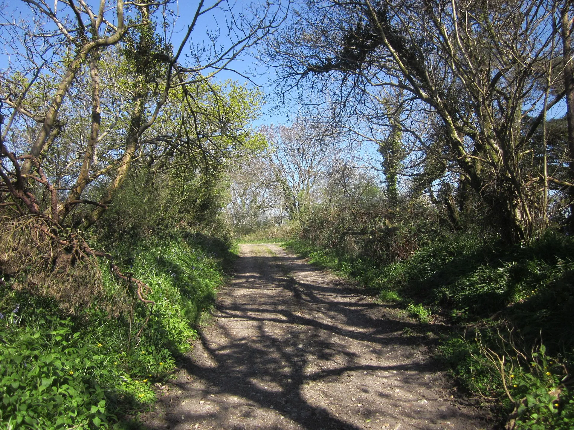 Photo showing: Common Water Lane