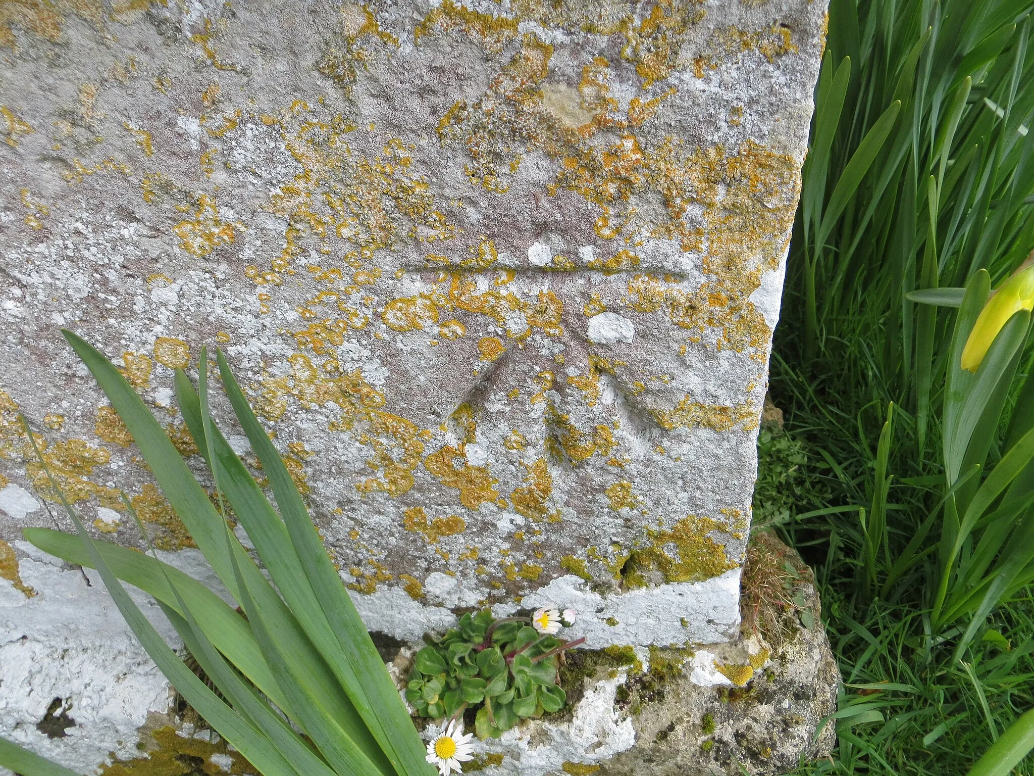 Photo showing: Ordnance Survey Cut Mark