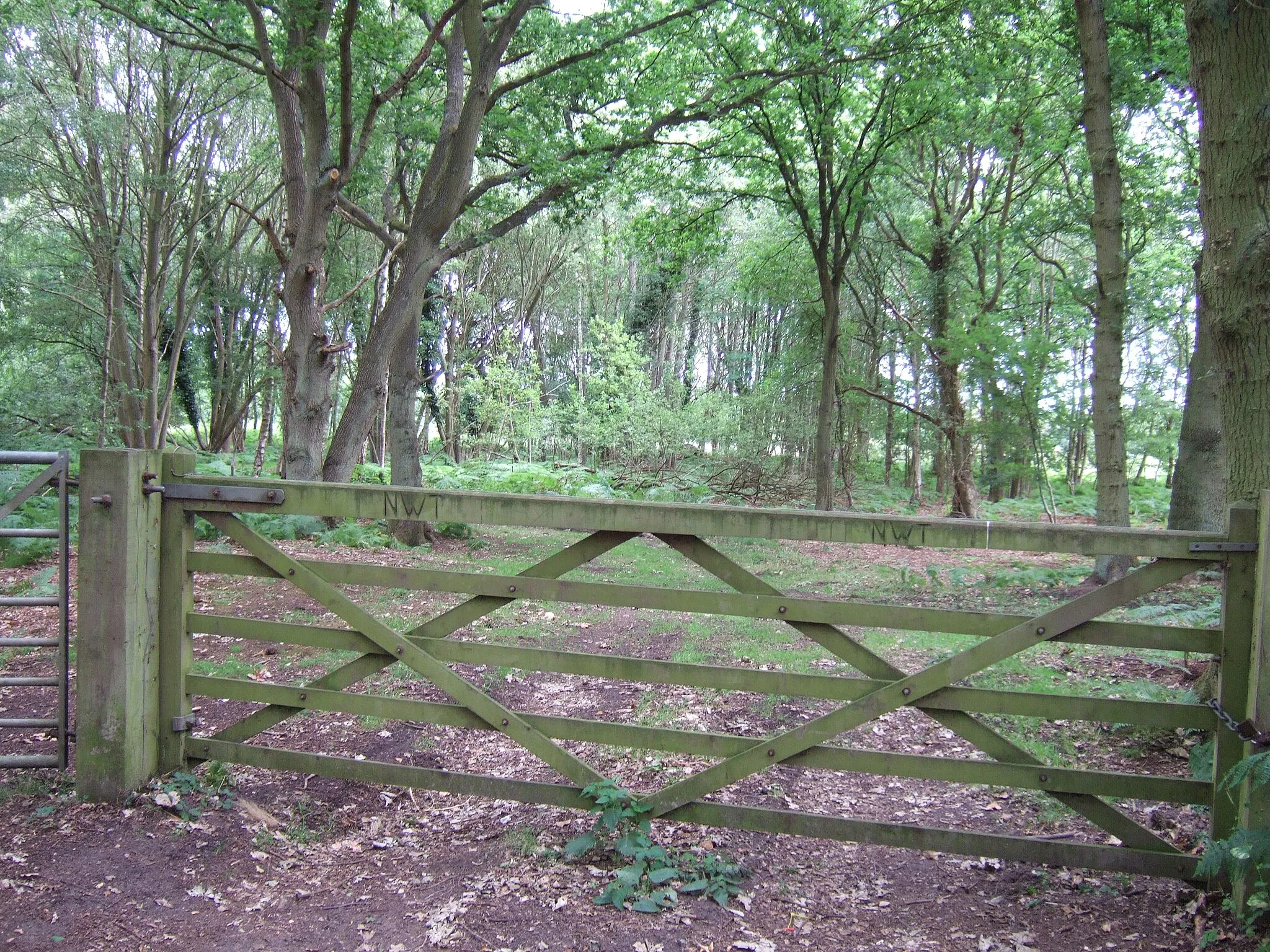 Photo showing: A gateway into East Winch Common