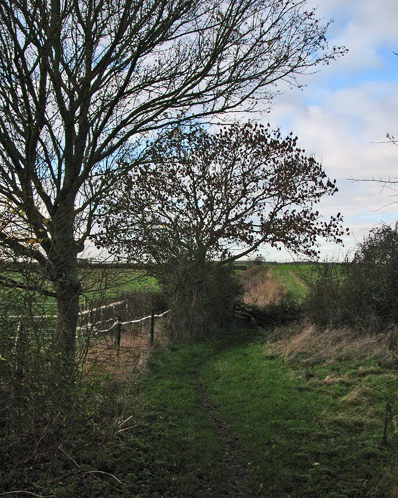Photo showing: A bend in the path