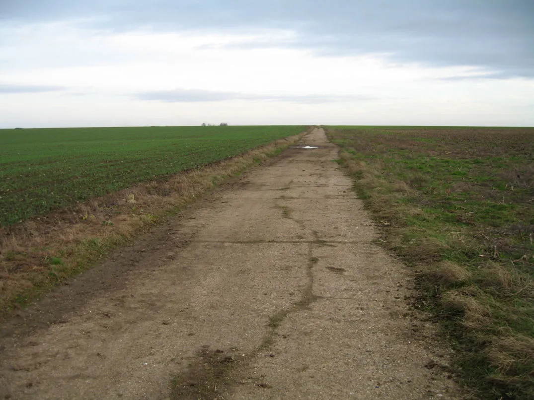 Photo showing: Track at Castle Farm, Castle Camps, on which is the county top: the highest point in Cambridgeshire. The track belonged to the wartime airfield.