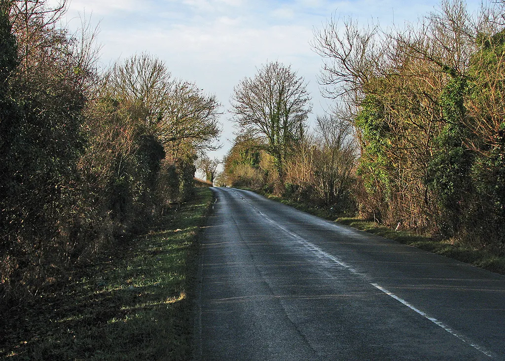 Photo showing: On Shelford Road in December