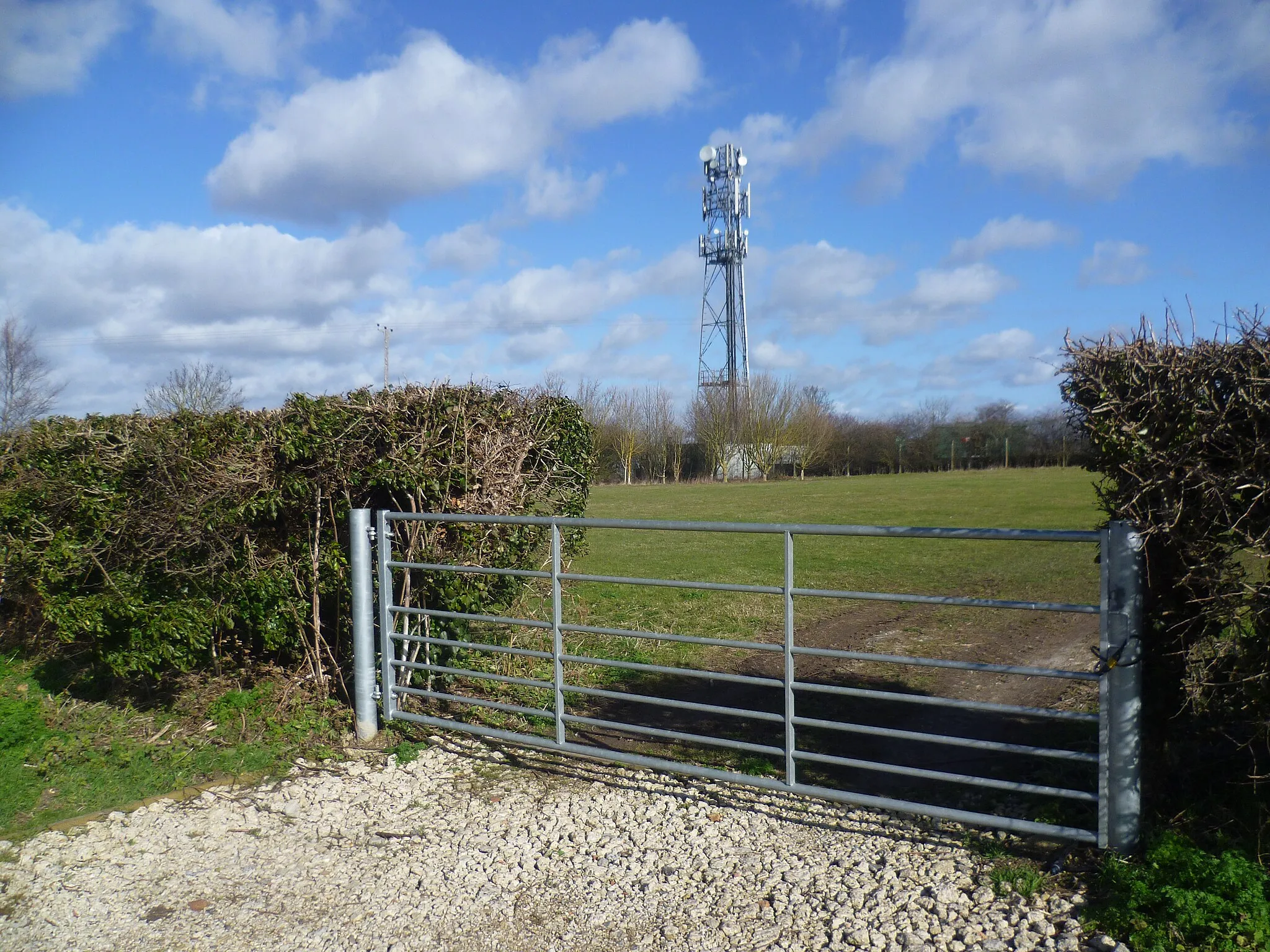 Photo showing: Looking over a gate from Cambridge Road