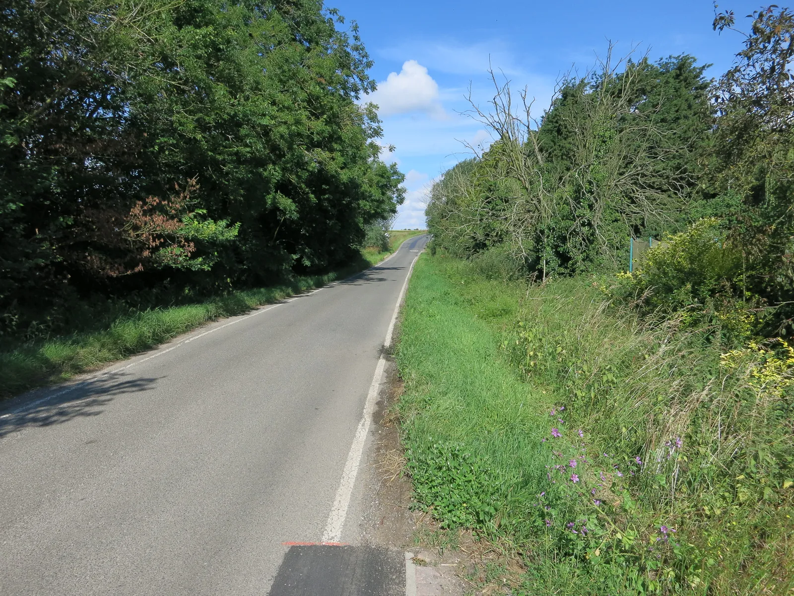 Photo showing: Camps Road