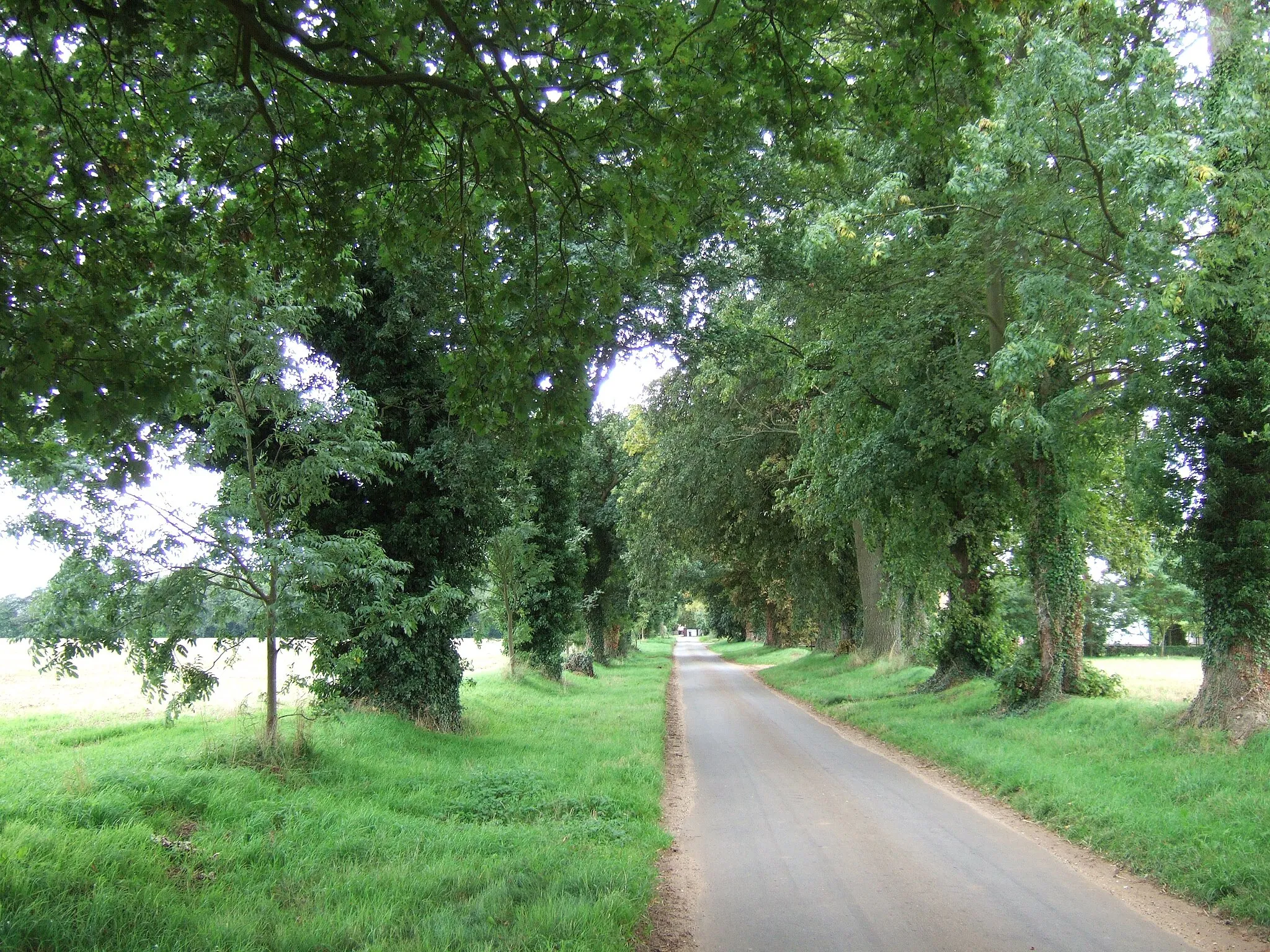 Photo showing: Church Lane, Ashwicken, Norfolk