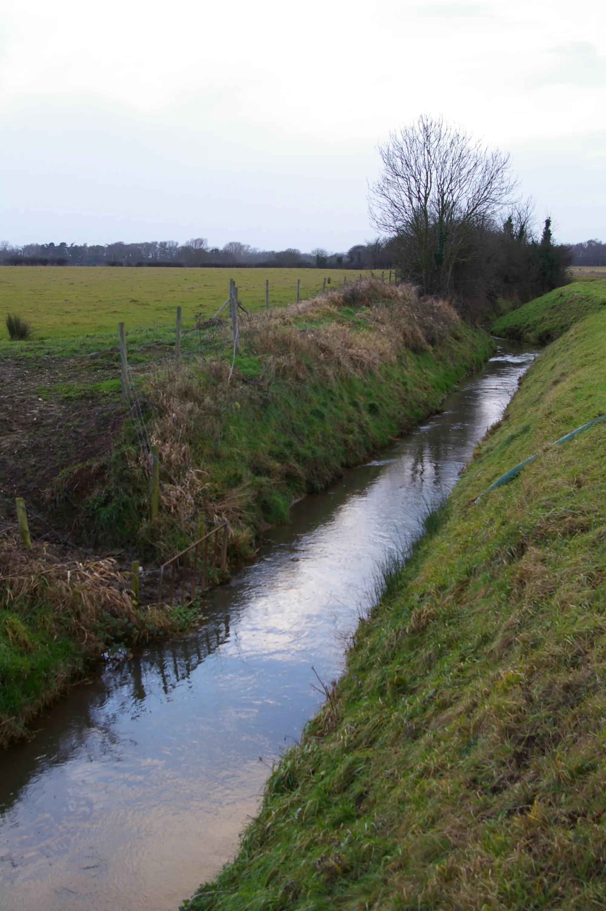 Photo showing: Gaywood River Here, the river is narrow and runs surprisingly fast.