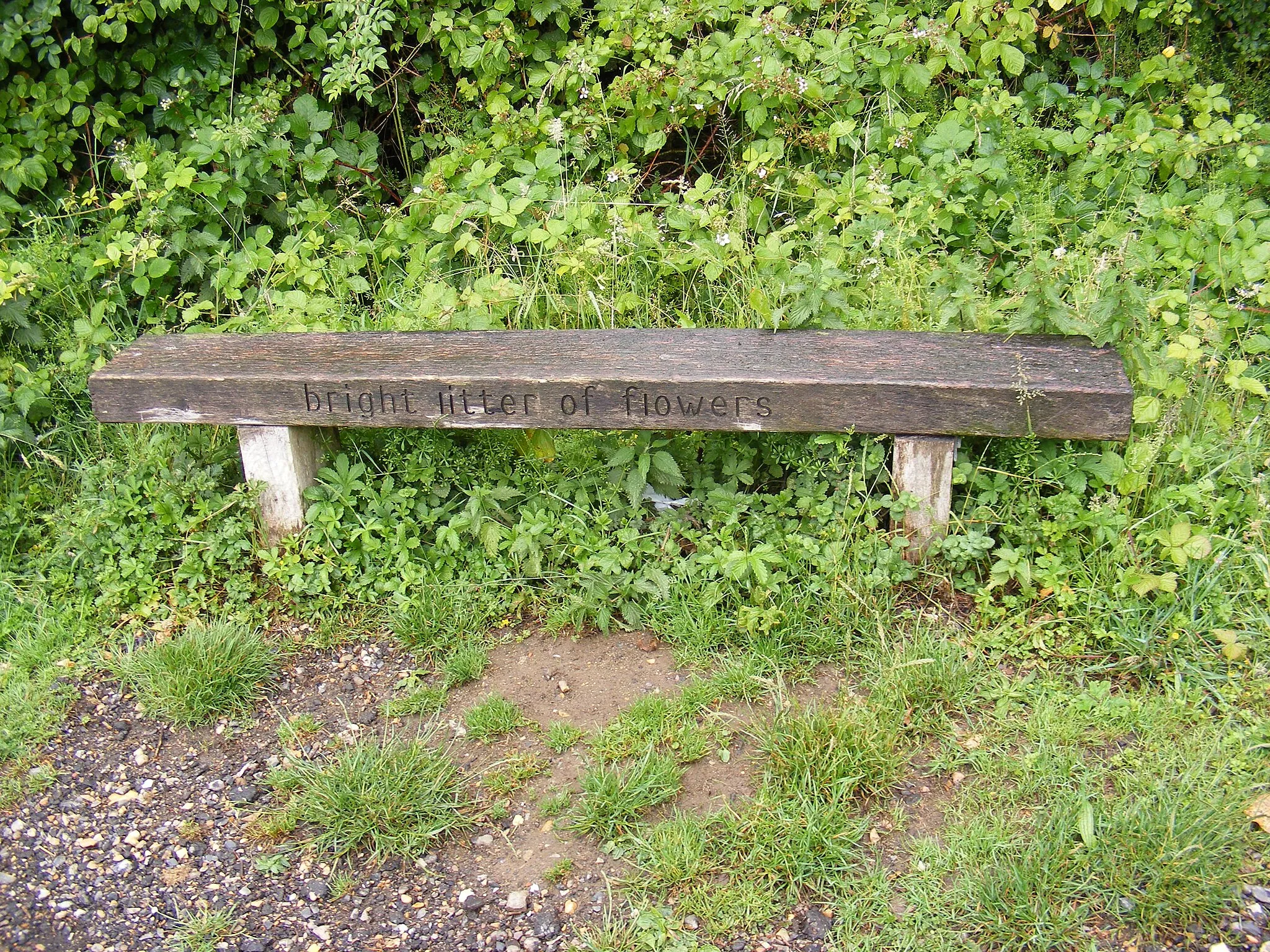 Photo showing: Bench next to Marriott's Way footpath
