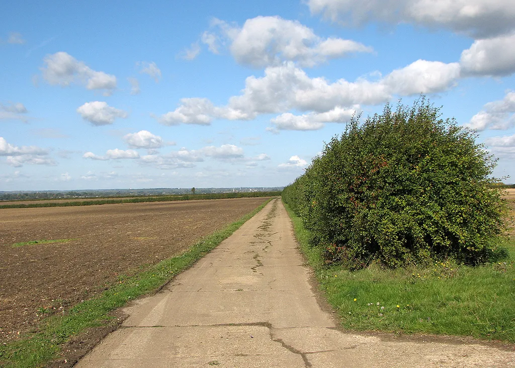 Photo showing: A farm track with a view to The Fens
