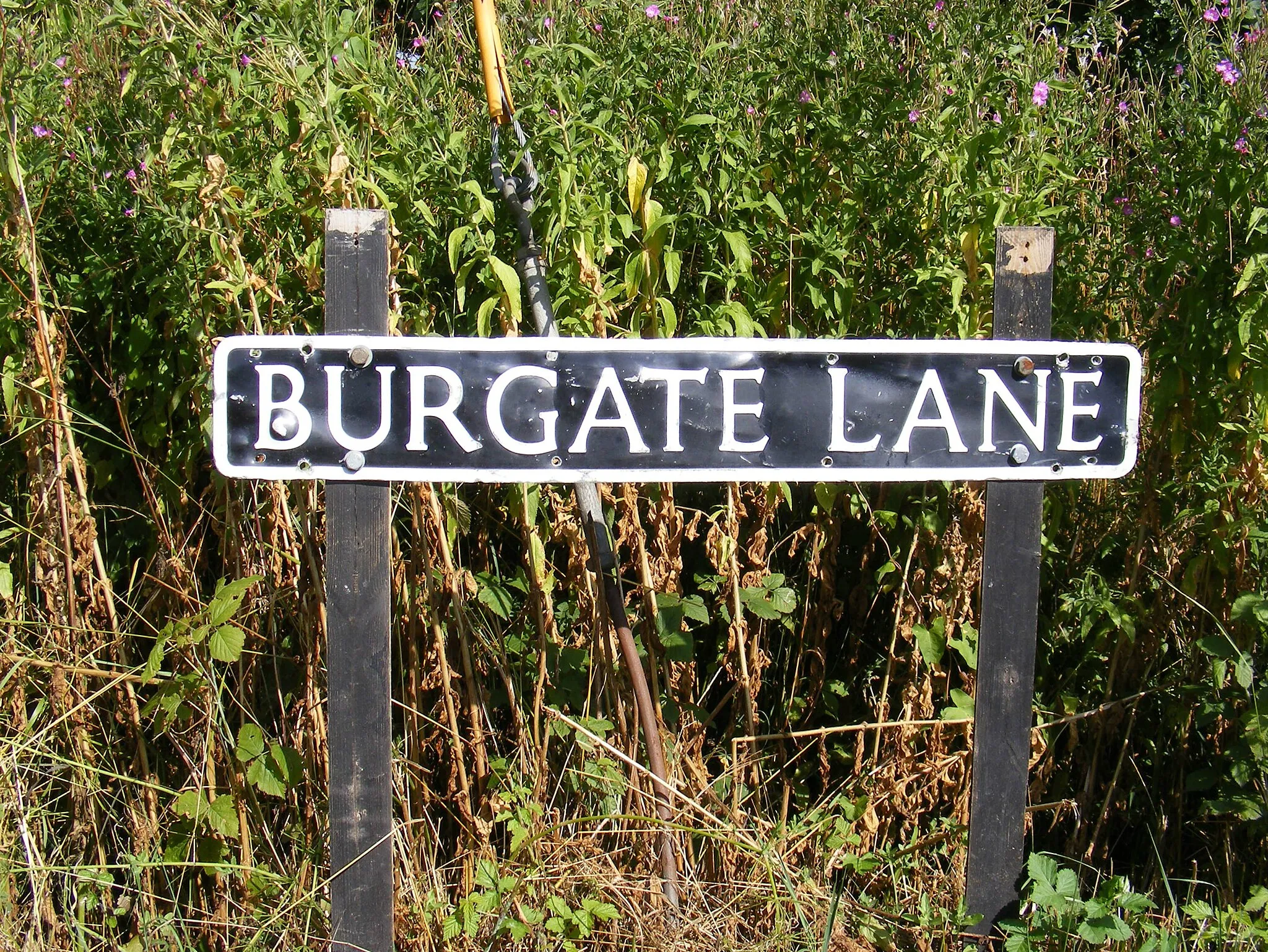 Photo showing: Burgate Lane sign