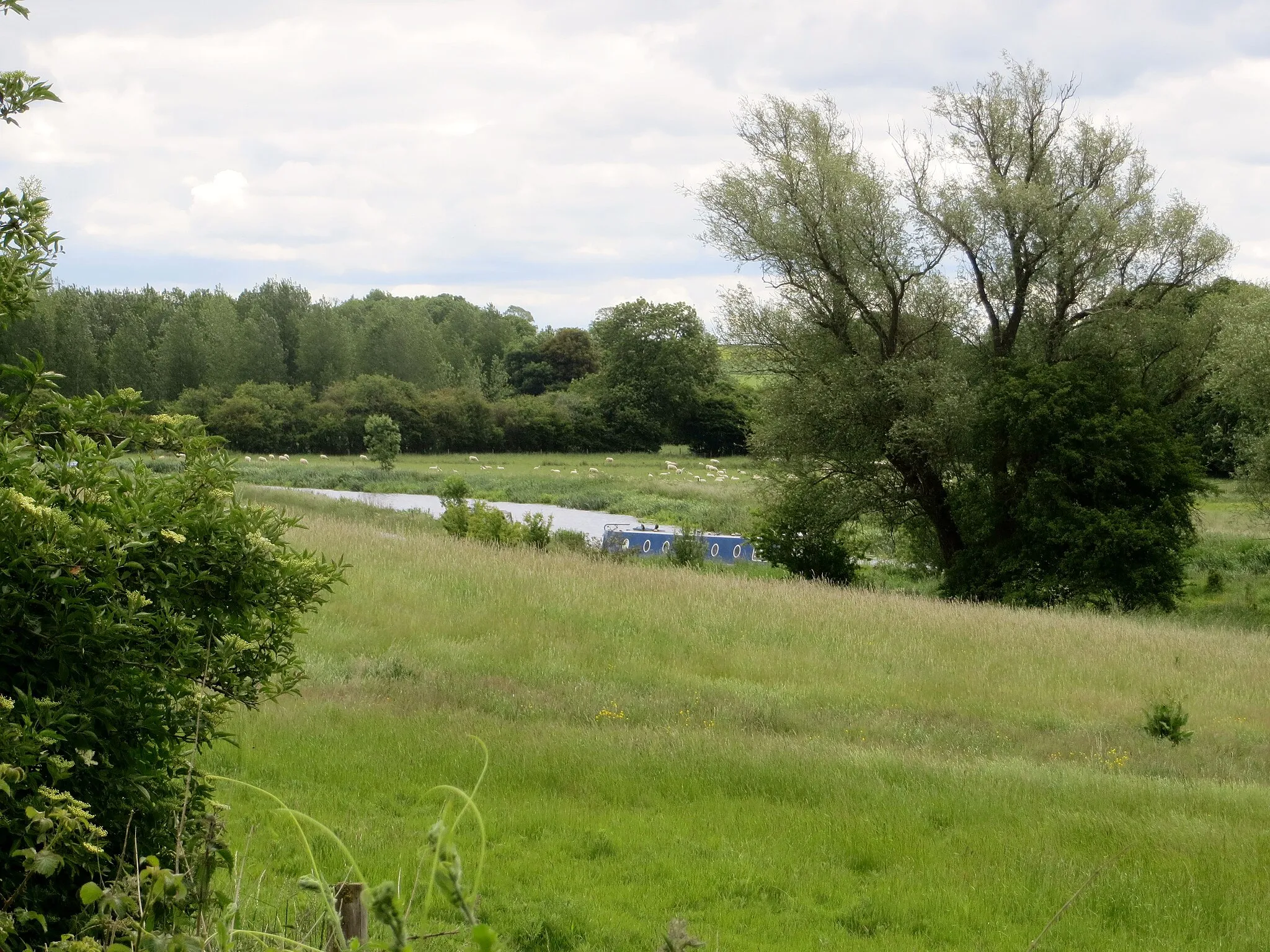 Photo showing: A bend in the river from Mill Rd, June 2013