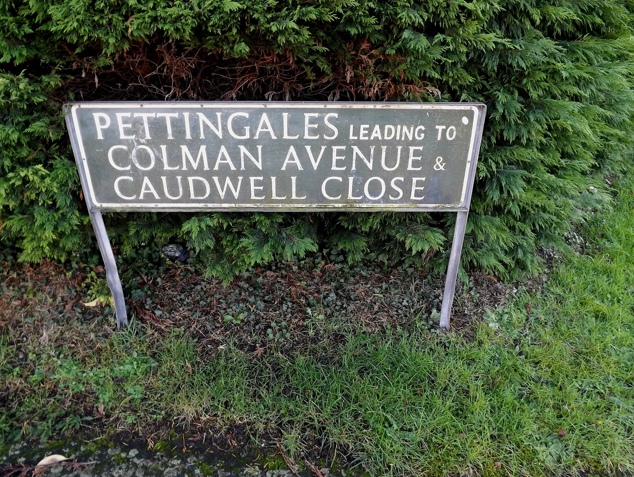 Photo showing: Pettingales sign